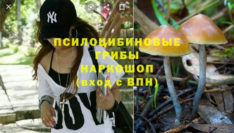 Галлюциногенные грибы MAGIC MUSHROOMS  продажа наркотиков  Железноводск 